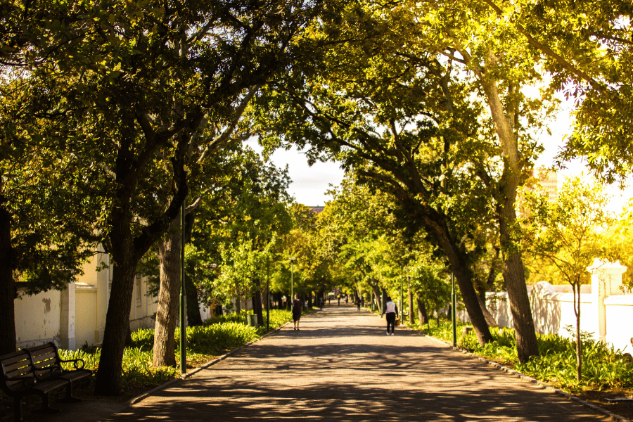 Check out the best neighborhoods in Marietta Stunning streets in Marietta neighborhoods, perfect for families.