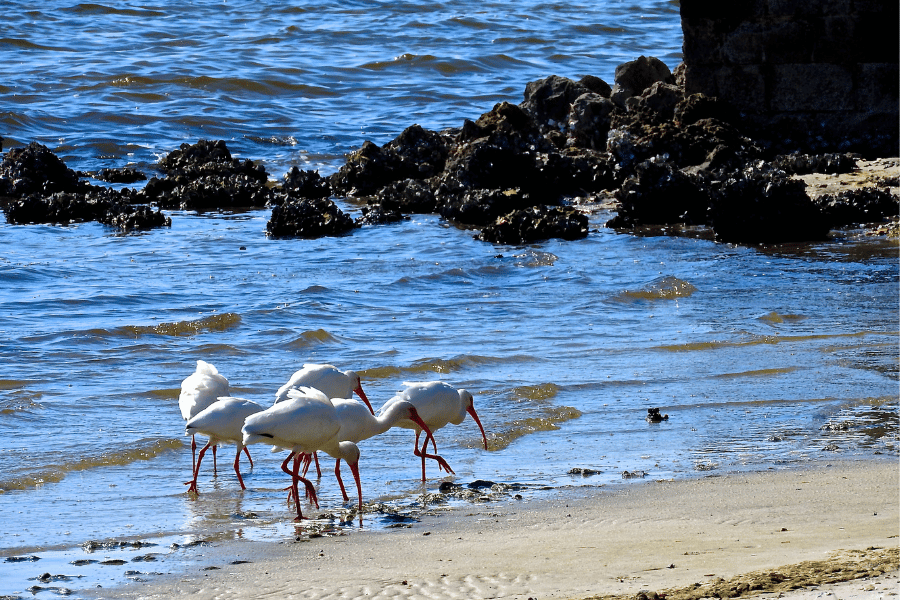 Port Charlotte Beach Park
