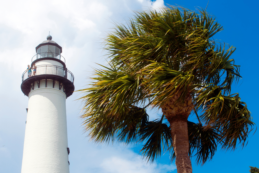 St-Simons-Island-Lighthouse.png St. Simons Island Lighthouse with a palm tree on a sunny day in Georgia