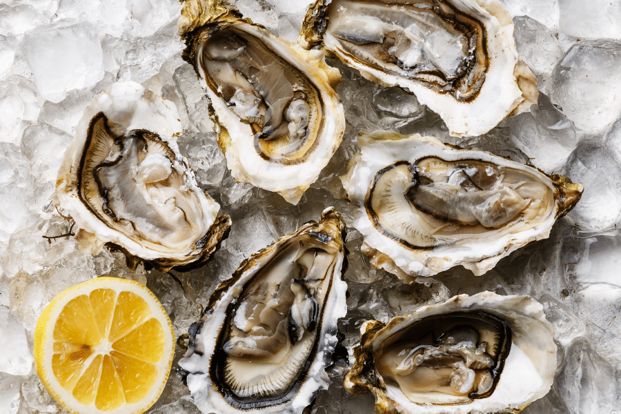 oysters.png oysters on ice with lemon