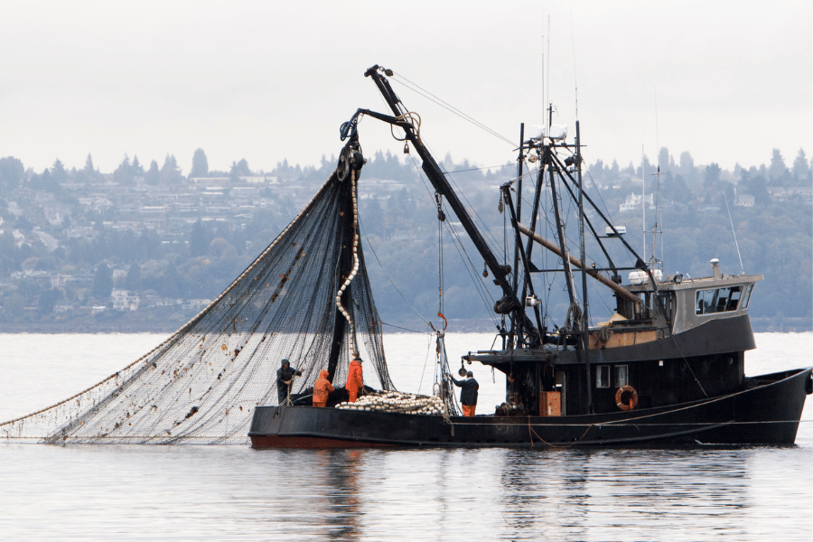 Fishing industry in water