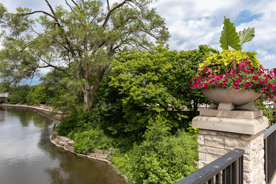 Naperville, IL Riverwalk Naperville, IL Riverwalk near the river with beautiful plants and greenery