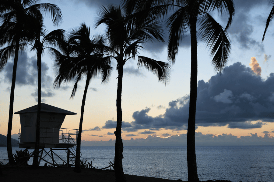 O'ahu, HI Beautiful sunset with palm trees near the ocean in O'ahu, HI