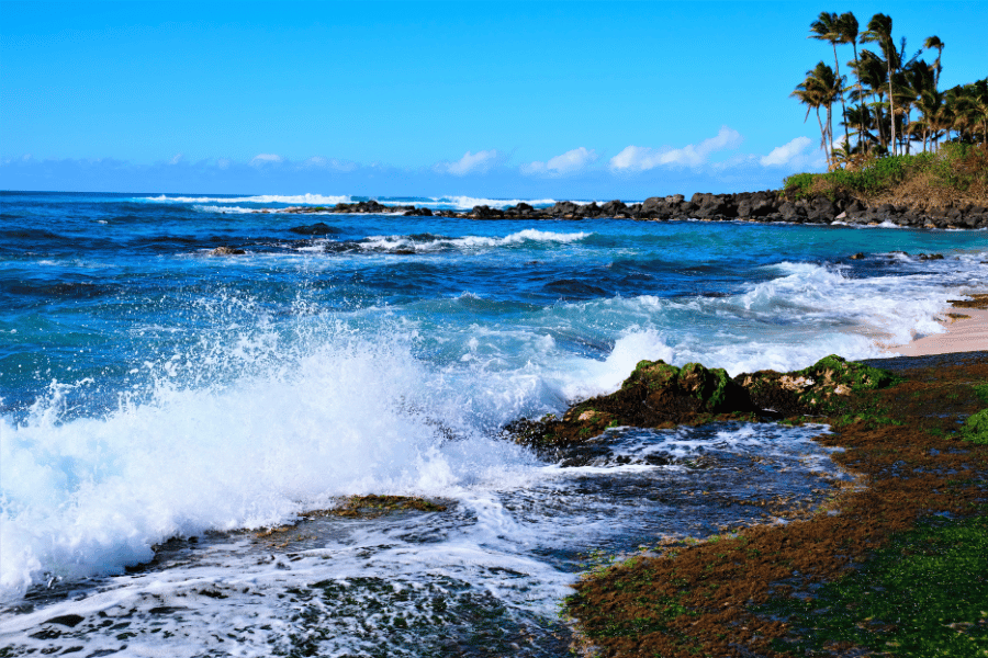 Haleiwa, HI Big waves on the beach in Haleiwa, HI