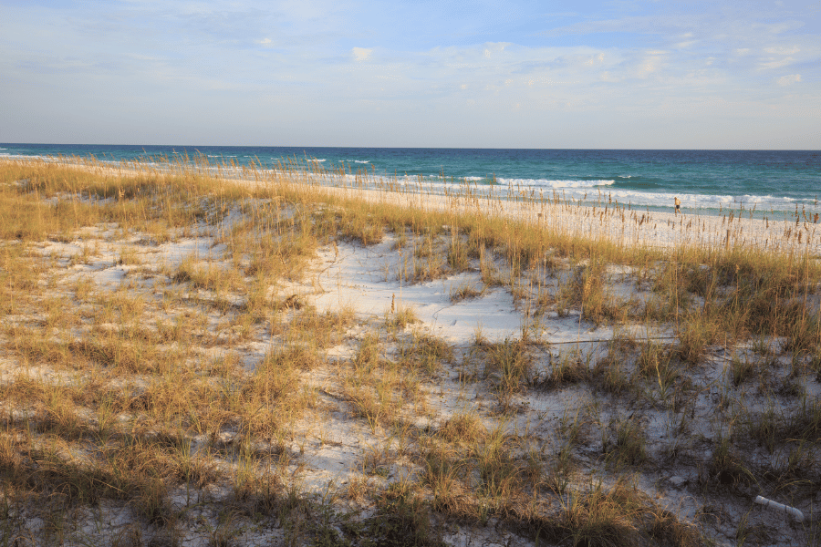 Henderson Beach State Park sand dunes 