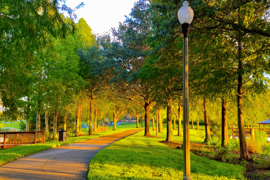 park-during-spring-jupiter.png Park walk during sunset